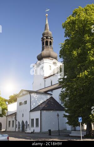 Blick auf St. Maria Kathedrale (Dom) auf Toompea Hügel in der Altstadt von Tallinn, Estland Stockfoto