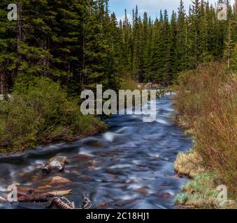 South Saint Vrain Creek fließt in den Brainard See in der Nähe von Nederland, Colorado, an einem Frühlingstag Stockfoto