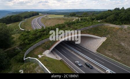 Longkamp, Deutschland. Juni 2020. Eine grüne Brücke überquert die Bundesstraße B50 (Foto aufgenommen mit einer Drohne). In Rheinland-Pfalz gibt es bereits 15 grüne Brücken, zwei Landschaftstunnel und neun Unterführungen für Wildtiere, um Lebensräume zu vernetzen. (To dpa 'sicher über die Straße: Immer mehr grüne Brücken für wilde Tiere') Quelle: Thomas Frey/dpa/Alamy Live News Stockfoto