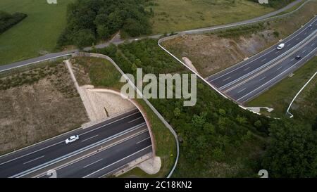 Longkamp, Deutschland. Juni 2020. Eine grüne Brücke überquert die Bundesstraße B50 (Foto aufgenommen mit einer Drohne). In Rheinland-Pfalz gibt es bereits 15 grüne Brücken, zwei Landschaftstunnel und neun Unterführungen für Wildtiere, um Lebensräume zu vernetzen. (To dpa 'sicher über die Straße: Immer mehr grüne Brücken für wilde Tiere') Quelle: Thomas Frey/dpa/Alamy Live News Stockfoto