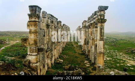 Große Kolonnade in Apamea in Nebel, teilweise zerstört, Syrien Stockfoto