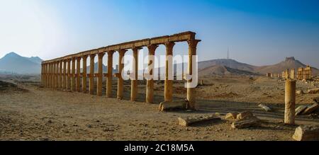 Panorama der Palmyra Säulen und der antiken Stadt, Syrien Stockfoto