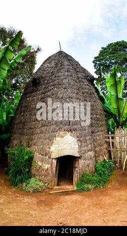 Traditionelles Dorze Stammhaus in Chencha Äthiopien Stockfoto