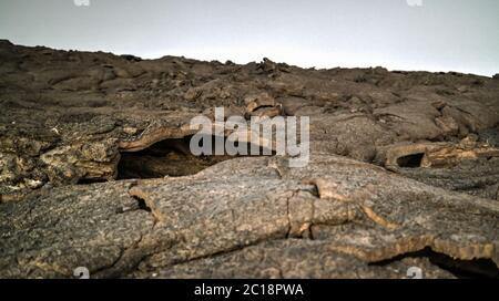 Lavafelder um Erta Ale Vulkan, die Danakil, Afar, Äthiopien Stockfoto