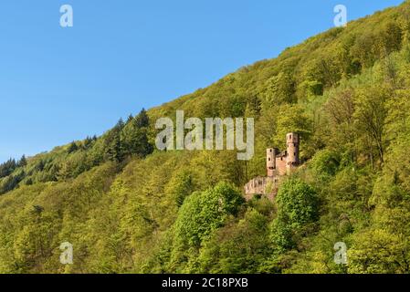 Ruine von Schloss Schadeck (Schwalbennest), Neckarsteinach, Neckartal, Hessen, Deutschland Stockfoto