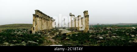 Große Kolonnade Apamea im Nebel, teilweise zerstört Syrien Stockfoto