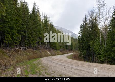 Eine Straße durch den Wald bei Anglemont, British Columbia, Kanada Stockfoto