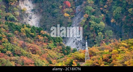 Blick auf das Herbstlaub auf dem Berg in Nikko, Japan, Stockfoto