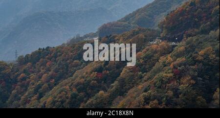 Blick auf das Herbstlaub auf dem Berg in Nikko, Japan, Stockfoto