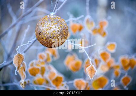 Neujahrsball hängt an einem Zweig eines Weihnachtsbaums im Wald Stockfoto