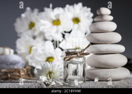 Ätherisches Öl der Kamille, Bouquet von Kamillenblüten und Steinhaufen Stockfoto