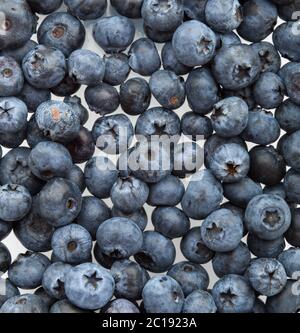 Frisch gepflückten Heidelbeeren Stockfoto