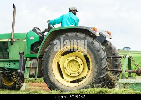 Afrikanischer Bauer, Arbeiter, Angestellter, der einen Traktor fährt, während er auf einem landwirtschaftlichen Feld auf einer Farm in Kwazulu Natal, Südafrika, arbeitet Stockfoto