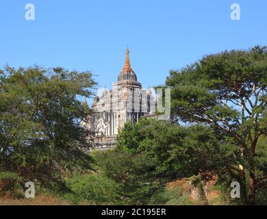 Dass Byin Nyu Tempel in Bagan Stockfoto