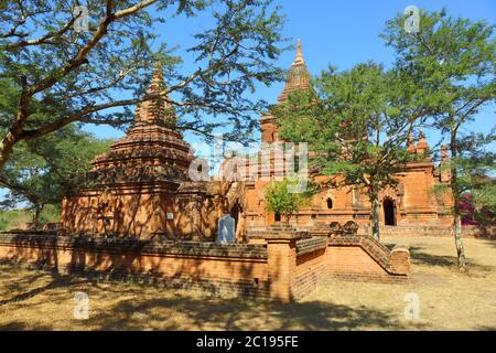 Tempel zwischen Bäumen in Bagan Stockfoto