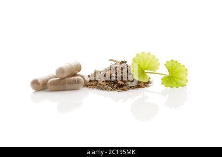 Gotu Kola. Natürliches Heilmittel. Stockfoto