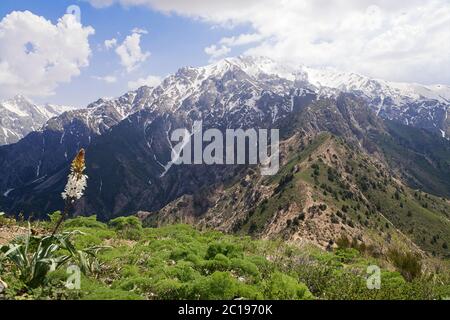 Tschimgan Berge, Usbekistan Stockfoto