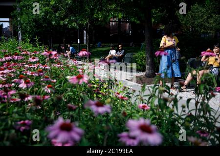 Washington, DC, USA. Juni 2020. People Lounge im Georgetown Waterfront Park in Washington, DC, USA, am 14. Juni 2020. Kredit: Ting Shen/Xinhua/Alamy Live Nachrichten Stockfoto