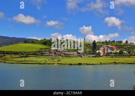 Gregory See in Nuwara Eliya - Sri Lanka Stockfoto