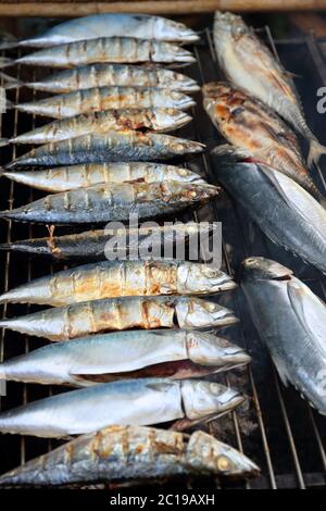 Makrele Fisch gebraten auf Grill Stockfoto