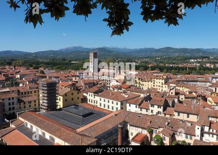 Blick über die Dächer von Lucca, ummauerte Stadt in der Toskana, Italien. Vom Guinigi Tower aus gesehen Stockfoto