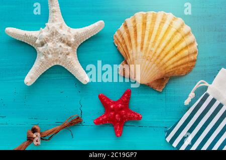 Sommer Bord von Muscheln Jakobsmuschel und Sternfisch auf blauem Holzhintergrund Stockfoto
