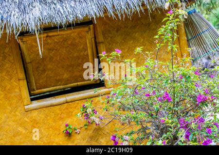 Ein schräg Blick auf eine Rattan-Hütte mit einem blauen Strohdach, das von einem üppigen blühenden Busch umgeben ist. Stockfoto