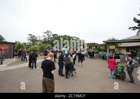 Menschen, die Bodenmarkierungen verwenden, um die soziale Distanz im Chester Zoo zu beobachten, während er nach der weiteren Lockerung der Coronavirus-Sperrmaßnahmen in England wieder für Besucher geöffnet wird. Stockfoto