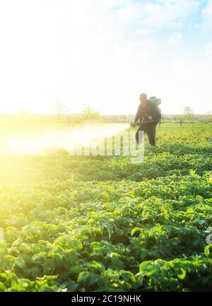 Landwirt sprühen Kulturen mit Pestiziden. Der Einsatz von Chemikalien in der Landwirtschaft. Landwirtschaft und Agrarindustrie, Agrarindustrie. Schutz vor insec Stockfoto