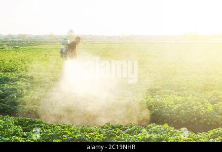 Ein Bauer sprüht auf einer Kartoffelplantage eine Wolke von Pestiziden unter die Sonnenstrahlen. Schutz vor Insektenpflanzen und Pilzinfektionen. Landwirtschaft Stockfoto