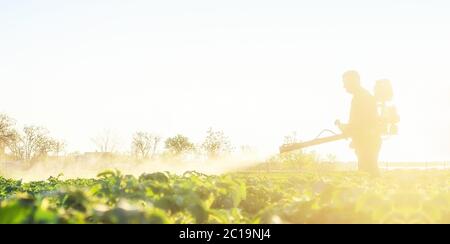 Ein Landwirt bewirtschaftet eine Kartoffelplantage, um Schädlinge und Pilzkrankheiten von Pflanzen vor Insekten zu schützen. Der Einsatz von Chemikalien in der Landwirtschaft. Landwirtschaft Stockfoto