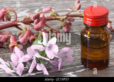 Bachblüten Tropfen Stockfoto