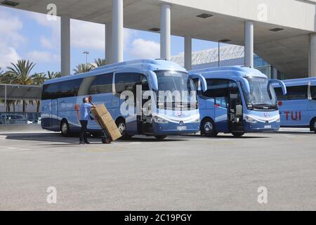Palma, Spanien. Juni 2020. TUI Busse werden am Flughafen Palma de Mallorca  vor der Ankunft der ersten Passagiere geparkt. Nach wochenlanger  Coronapause wird am Montagmorgen das erste Flugzeug aus Deutschland  erwartet. Quelle