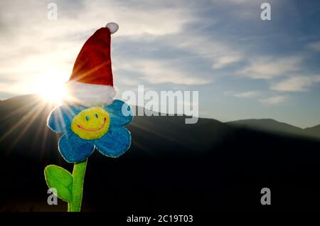 Lächeln Blume mit Weihnachtsmütze und Sonnenhut in der Schweiz. Stockfoto