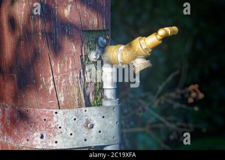 Ein Messinghahn, der an einem Holzpfosten in einem Garten befestigt ist und tropft. Stockfoto