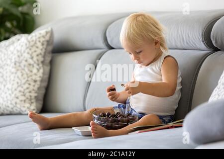 Süßer Kleinkind Junge, sitzt auf einer Couch, essen Kirschen und Blick auf Bilderbuch, genießen gesunde Mahlzeit Stockfoto