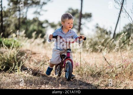 Cute blonde Kleinkind Reiten kleinen Fahrrad im Wald Stockfoto