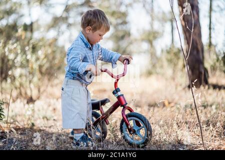 Niedlicher kleiner Junge mit Fahrrad im Wald Stockfoto