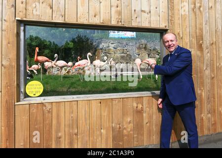 Dudley, West Midlands, Großbritannien. Juni 2020. Marco Longhi, konservativer Abgeordneter für Dudley North, ist einer der ersten Besucher mit seiner Familie, da Dudley Zoo zum ersten Mal seit der UK-Sperre seine Türen öffnet, mit einem verwalteten Aufnahme und vollen Sicherheitsangeln. Kredit: Peter Lopeman/Alamy Live Nachrichten Stockfoto