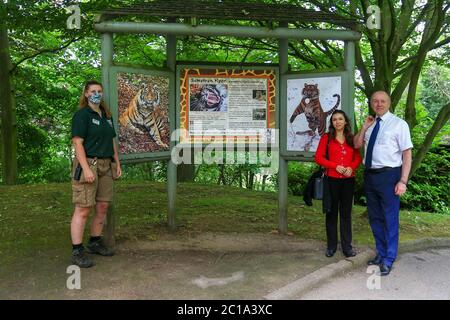 Dudley, West Midlands, Großbritannien. Juni 2020. Marco Longhi, konservativer Abgeordneter für Dudley North, ist einer der ersten Besucher mit seiner Familie, da Dudley Zoo zum ersten Mal seit der UK-Sperre seine Türen öffnet, mit einem verwalteten Aufnahme und vollen Sicherheitsangeln. Kredit: Peter Lopeman/Alamy Live Nachrichten Stockfoto