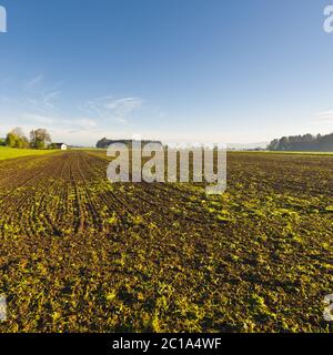 Schweizer Dorf von gepflügten Feldern umgeben. Stockfoto