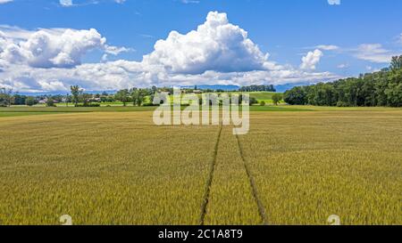 Luftdrohne Aufnahme der Landschaft und des Ackerlandes rund um Genf, Schweiz. Die großen weißen Wolken und blauen Himmel und grüne Felder. Stockfoto