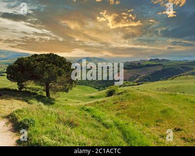 Beeindruckende Frühlingslandschaft, Blick mit Zypressen und Weinbergen, Toskana, Italien Stockfoto