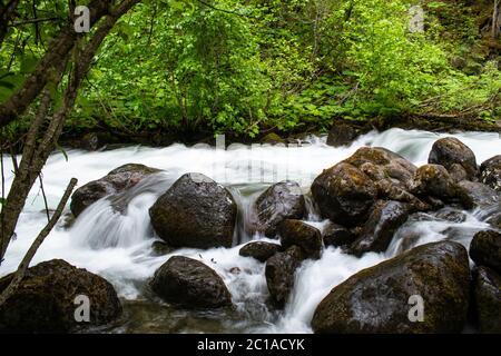 Wasserfalladen über Felsbrocken im South Fork Eagle River Stockfoto
