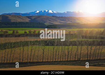 Panorama der Alpen in Neuseeland Stockfoto