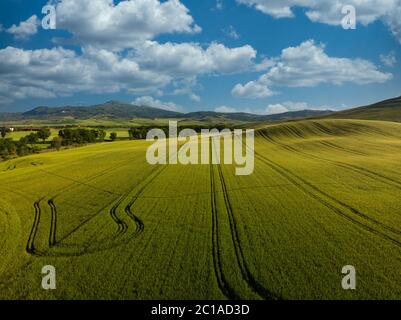 Erstaunliche bunte Sonnenuntergang in der Toskana. Malerischer Agrotourismus und typische kurvige Straße mit Zypresse, Landschaft in der Toskana, Italien, Europa Stockfoto