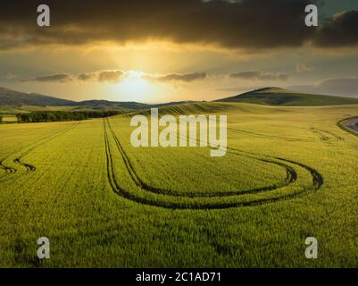 Beeindruckende Frühlingslandschaft, Blick mit Zypressen und Weinbergen, Toskana, Italien Stockfoto