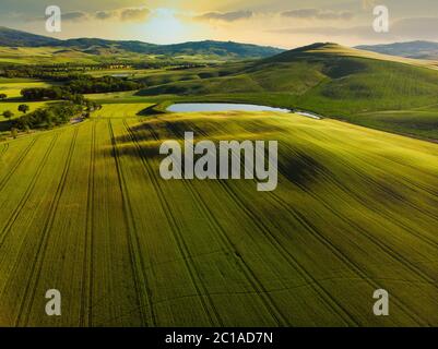 Beeindruckende Frühlingslandschaft, Blick mit Zypressen und Weinbergen, Toskana, Italien Stockfoto