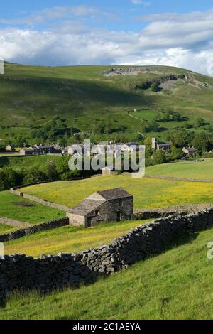 Buttercup gefüllt Felder auf das Dorf Muker im Tal von Swaledale, Muker, Yorkshire Dales National Park, North Yorkshire, England, Großbritannien Stockfoto