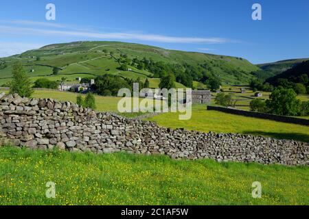 Blick über die traditionelle Trockensteinmauer und Scheune auf das Dorf Muker im Swaledale Tal Stockfoto